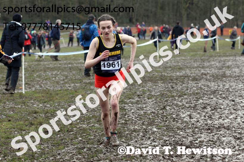 Womens under-17s 2018 British Inter Counties Cross Country Champs., Prestwold Hall, Loughborough. Photo: David T. Hewitson/Sports for All Pics